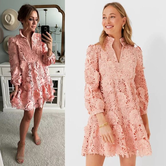 Tuckernuck Dresses & Skirts - Tuckernuck Blush Pink Guipure Floral Lace Palmerston Swing Mini Dress Size‎ M